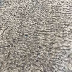 カーペット、ラグ