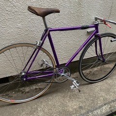 NJS VIVALO special  ピスト　ジャンク