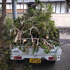 薪　まき　マキ　焚き火　廃材の画像