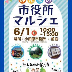✨6/1 小田原市役所前庭 みんなの市役所マルシェ✨