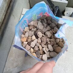 鉢底石