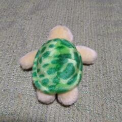 甲羅が脱げる　カメ　ぬいぐるみの画像