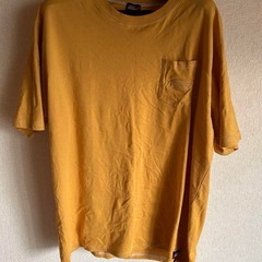 Dickies Tシャツ 大きいサイズ 2枚