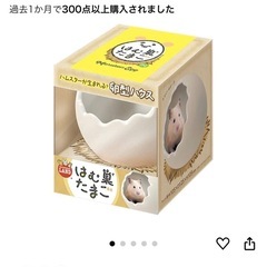 🐹ハムスター飼育スタートセット🩷ルーミィ60グランスペースセット付きの画像