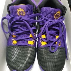 【新品未使用】NIKE・ナイキ・バスケ・シューズ・バッシュ・レブロン・ウィットネス 8 EP・FB2237-001の画像