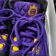 【新品未使用】NIKE・ナイキ・バスケ・シューズ・バッシュ・レブロン・ウィットネス 8 EP・FB2237-001の画像