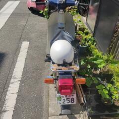 ホンダ　スーパーカブの画像