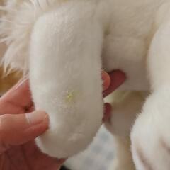 動物ぬいぐるみまとめ売り(サイズM程度)の画像