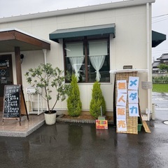 めだか無人販売SUNの画像