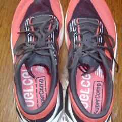 FuelCell SuperComp Elite v4 26.0cmの画像