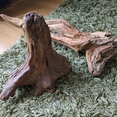 流木