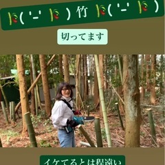 6/1(日)竹林間伐ボランティアしたい方を募集します✨️