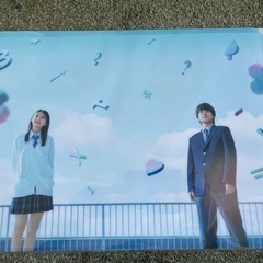 ★３割引★映画「かくしごと」劇場グッズ①クリアファイルセット