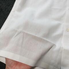ラコステワイシャツМ シャツの画像