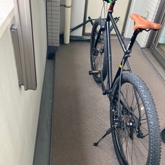 マリンバイクス、ニカシオse