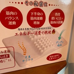 店舗、出張買取り実施中★珪藻土　ダイエットバスマットの画像