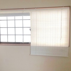 窓用ロールスクリーン 2枚