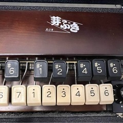 全音 芽ぶき 大正琴 ZENON ハードケース付きの画像