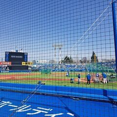 急募！ 本日神宮球場のヤクルトVS中日戦 同行者募集！