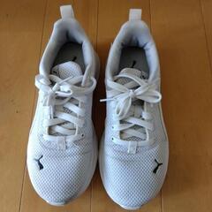 プーマ　運動靴　23cm