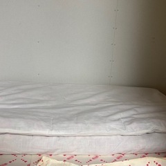 ケース付き布団