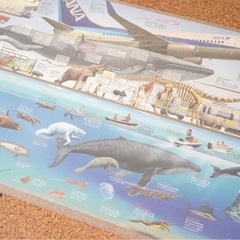 デスクマット　恐竜　89×50cm
の画像