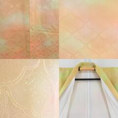 色無地 ぼかし色無地 黄色x黄緑 地紋入り 梅模様 広衿 絹 仕立て上がり 身丈156cm 【キモノオフ野々市若松店】の画像