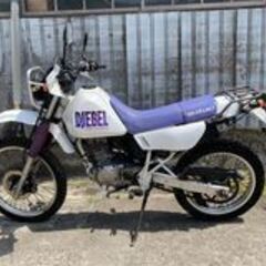 スズキ DJEBEL ジェベル200 SH42A 実動 書類付き 吹け上がり良好 キレイめ 通勤 通学 林道 ツーリング カスタムベースにもの画像