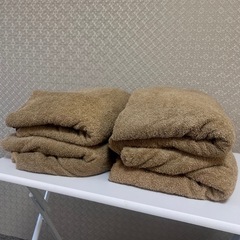 特大タオル_タオルシーツ