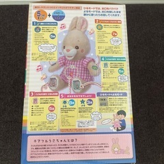 チアフルうさちゃんの画像