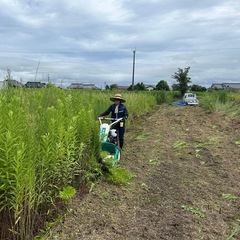 お庭　駐車場　空き地　耕作放棄地の草刈り🌿