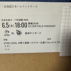 6/5　北海道日本ハムファイターズ vs 阪神タイガース（交流戦）