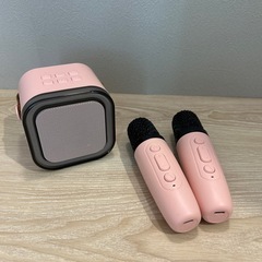 ミニカラオケ🎤♪*ﾟ