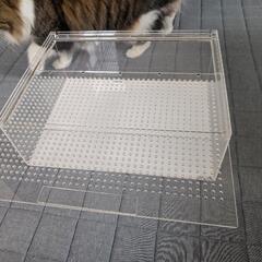 レオパ　飼育セット