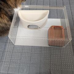 レオパ　飼育セットの画像