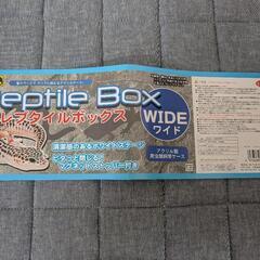 レオパ　飼育セットの画像