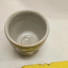 0529-252 猪口