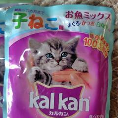 キャットフードパウチ16袋の画像