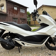 PCX125(JF56)  の画像