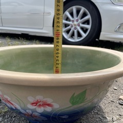 水蓮鉢の画像