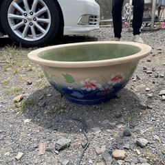 水蓮鉢の画像