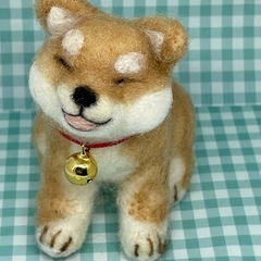 羊毛フェルト豆柴の画像
