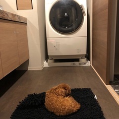 Panasonicドラム式洗濯機 NA-VX7200L