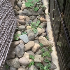 河原の石