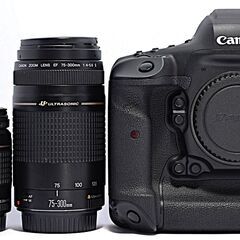 ✨Canon EOS-1D X Mark III 高速連写 一眼...