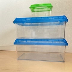 虫かご