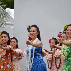 フラダンス教室🌟生徒募集中🌟の画像