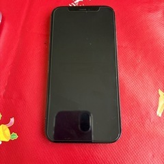 iPhone12pro 256GB