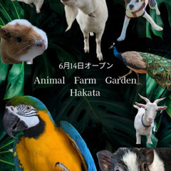 動物ふれあい　6月14日　オープン！　しまなみ海道