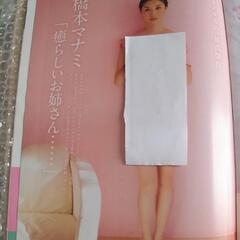 【御予約済み】情報誌 週刊FRIDAY 2013年3月1日号 釈由美子 木嶋のりこ 橋本マナミ 他の画像